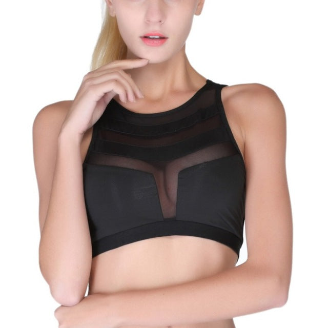 Stripe Net Sports Bra